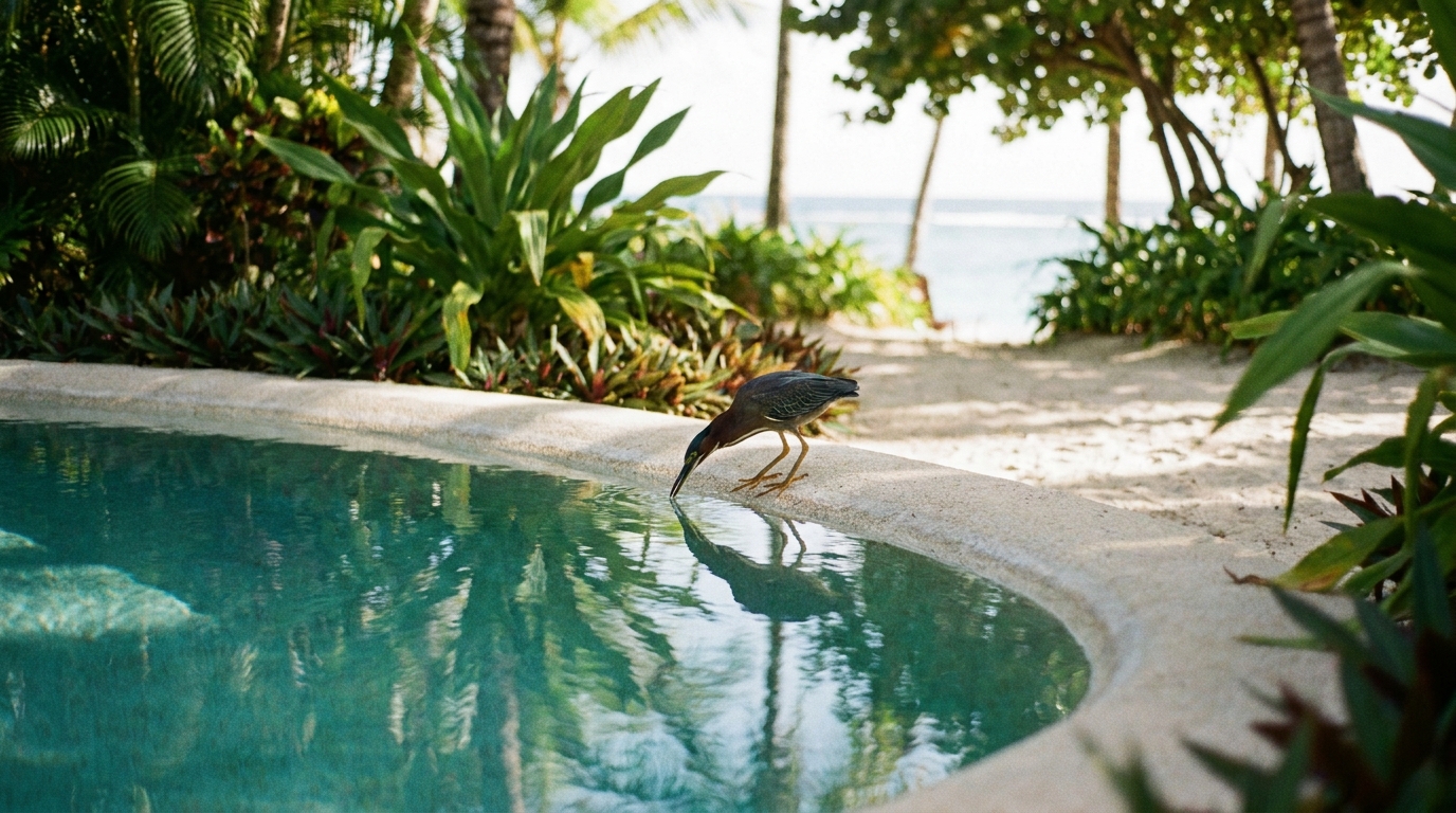 piscine-lagon-biodiversite-NATURADREAM.png