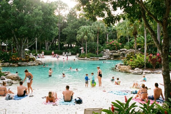 piscine-lagon-collectivite-2025.png